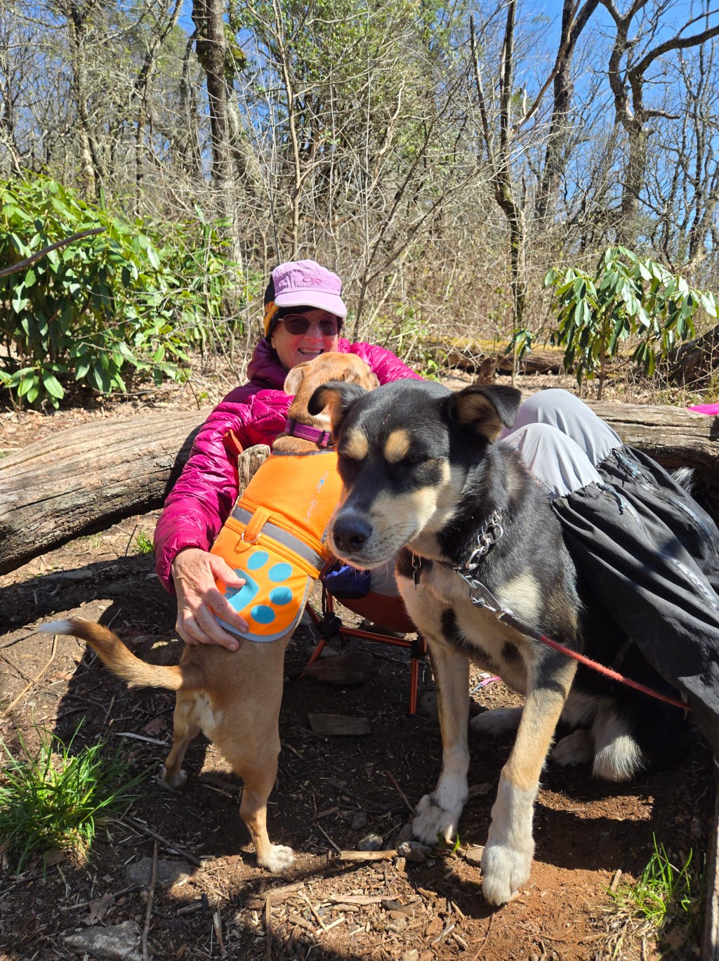 Interrogation before Standing Indian&nbsp;Mtn