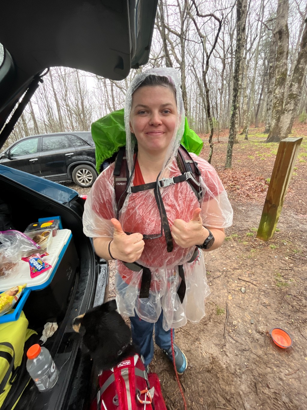 An Aloof Springer Mtn&nbsp;Summit