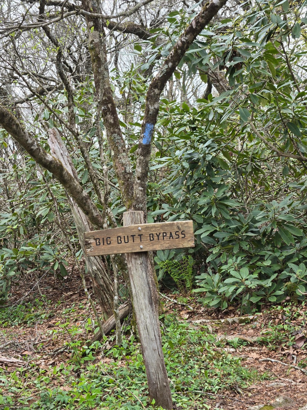 Two Butts Go Over Big Butt&nbsp;Mtn