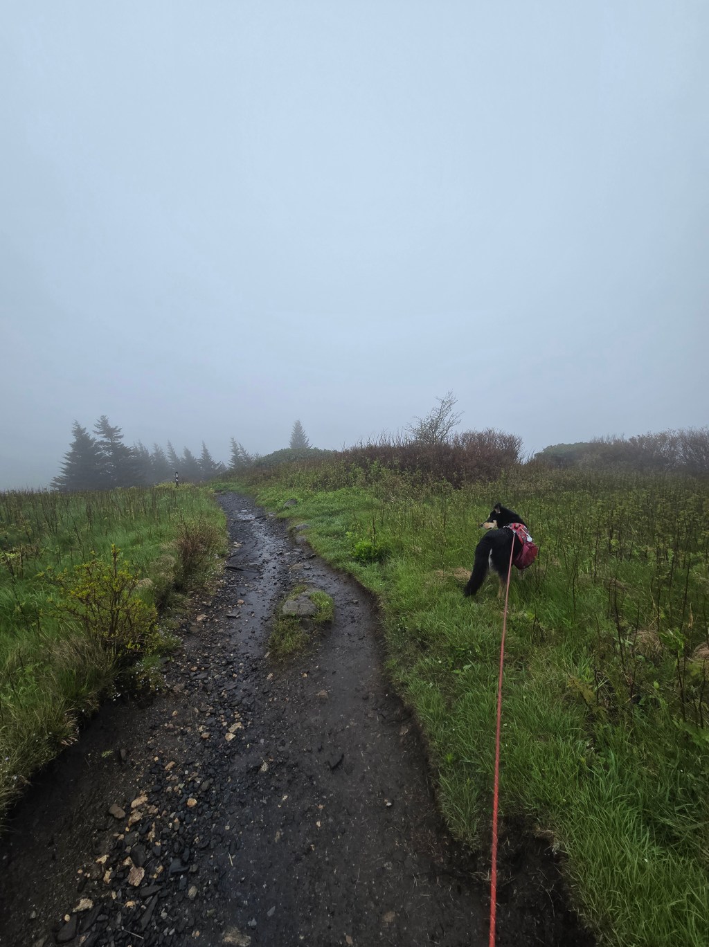 Drowning in the Roan&nbsp;Highlands